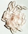 50 5x16mm Matte Transparent Rose Dagger Beads